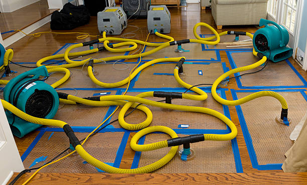 Professional Sewage Cleanup technician working in Luna Pier, MI
