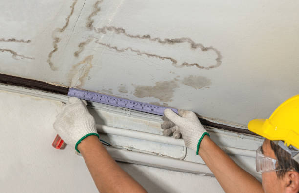 Affordable Water Damage Repair solutions in Luna Pier, MI